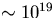 $\sim 10^{19}$